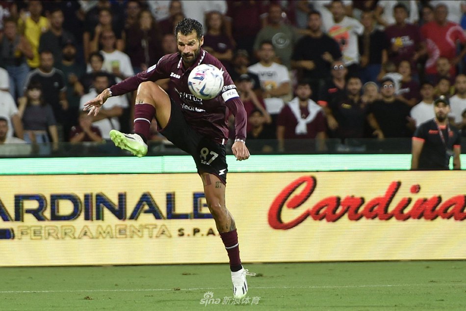 的锋线尖刀 的锋线尖刀