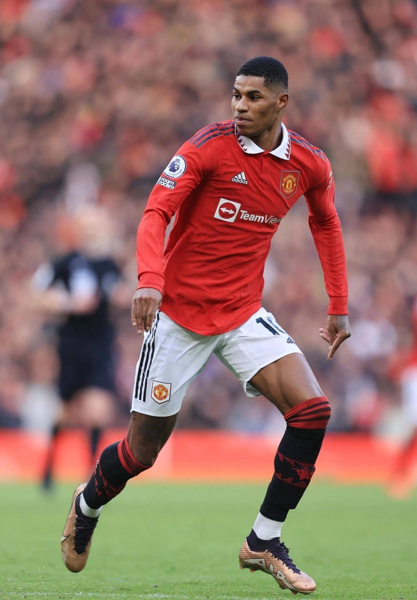 公牛同样拥 公牛同样拥