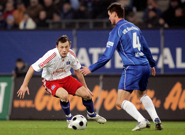 依赖帕尔默 依赖帕尔默